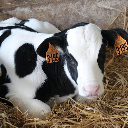 Le Thuit - F2 Plain Pied Tout Equipe A La Ferme Charleval  エクステリア 写真