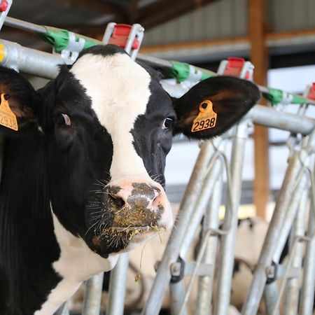 Le Thuit - F2 Plain Pied Tout Equipe A La Ferme Charleval  エクステリア 写真