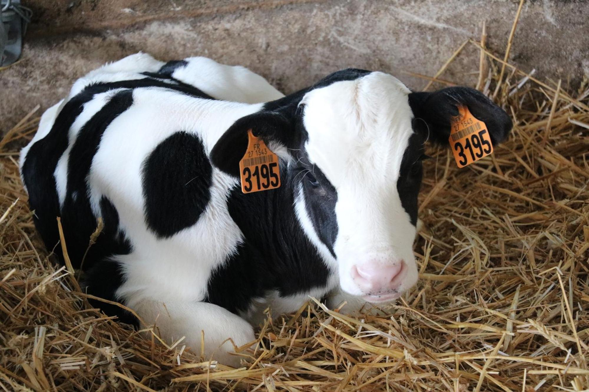 Le Thuit - F2 Plain Pied Tout Equipe A La Ferme Charleval  エクステリア 写真