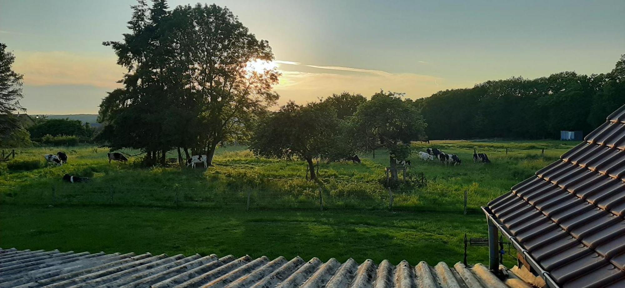 Le Thuit - F2 Plain Pied Tout Equipe A La Ferme Charleval  エクステリア 写真