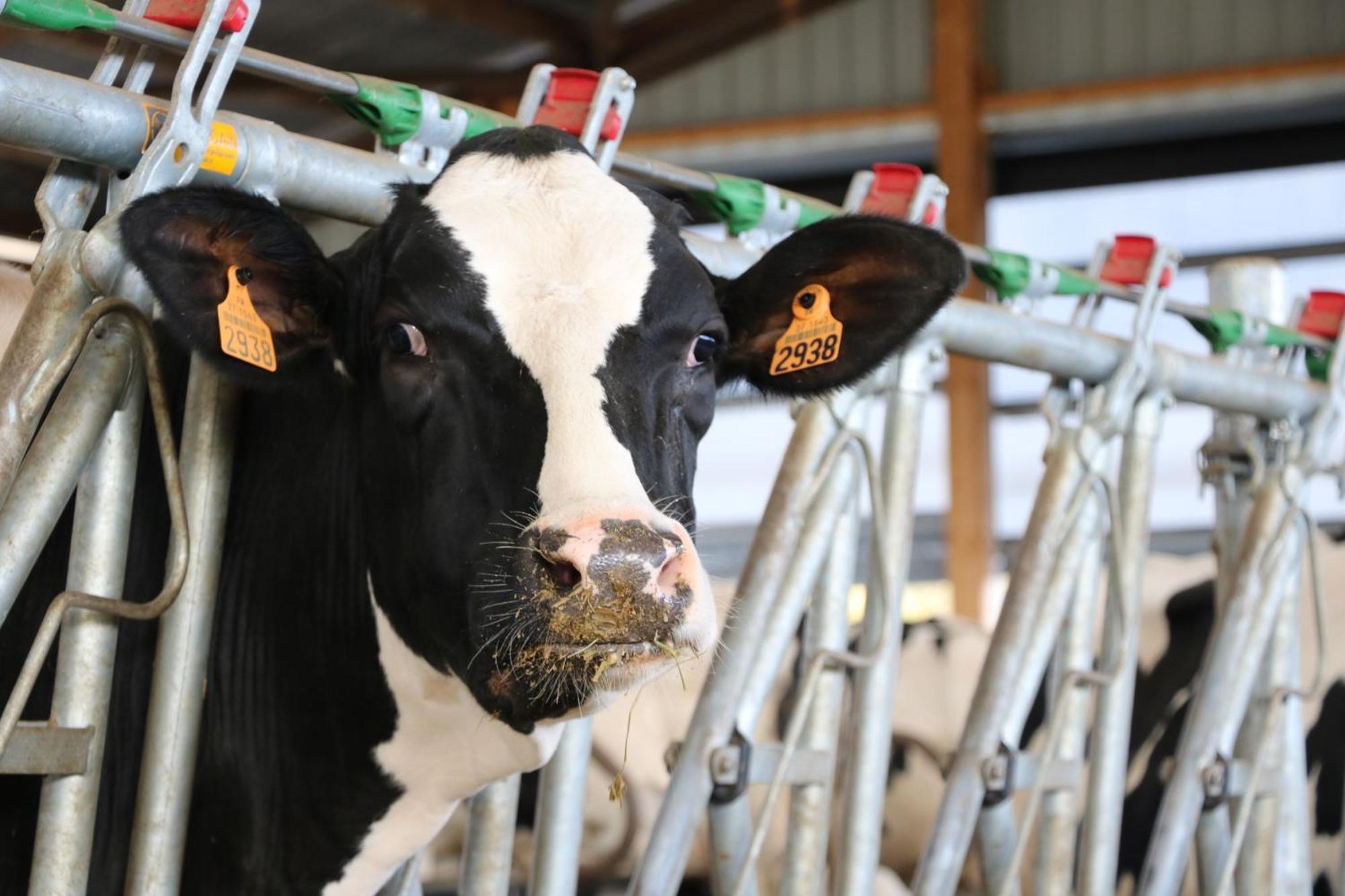 Le Thuit - F2 Plain Pied Tout Equipe A La Ferme Charleval  エクステリア 写真